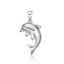 Picture of DOLPHIN
