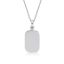 Picture of ~15x10 DOG TAG with chain