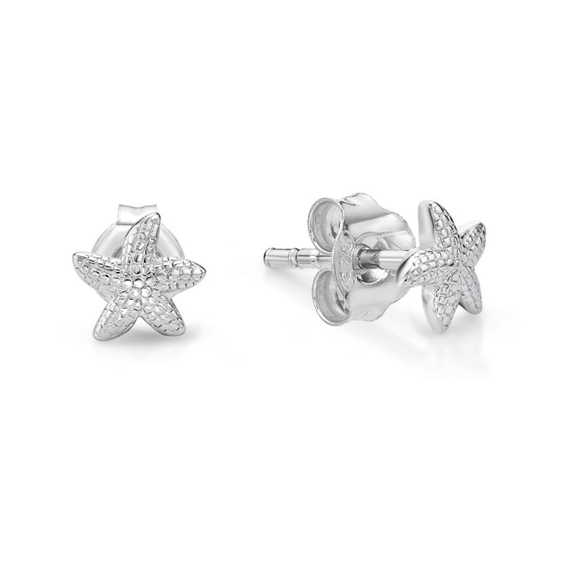 Picture of TINY STARFISH