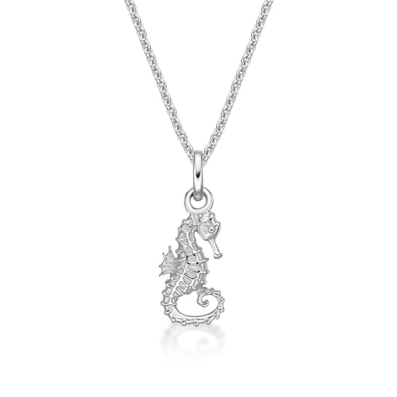 Picture of SEA HORSE PENDANT with CHAIN