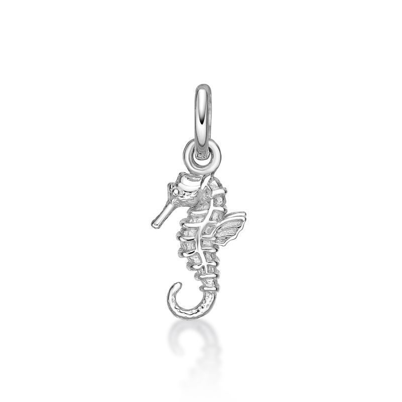 Picture of SEA HORSE