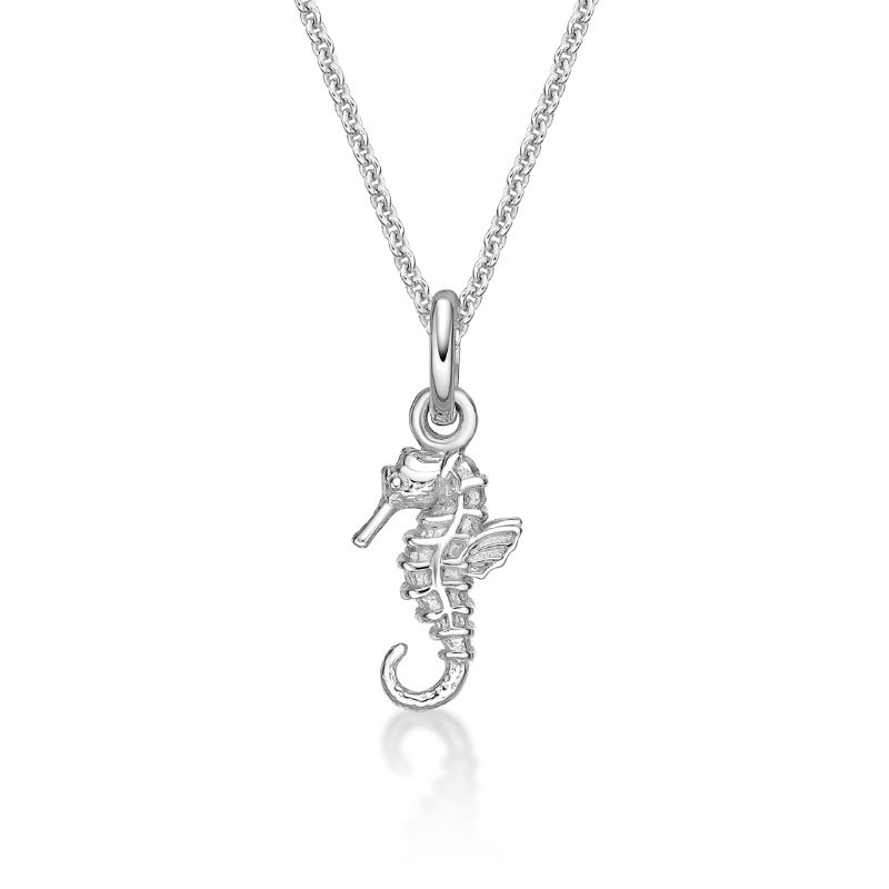 Picture of SEA HORSE with CHAIN