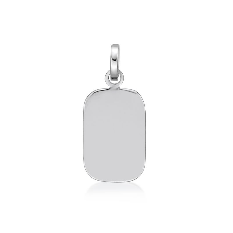 Picture of ~15x10 DOG TAG
