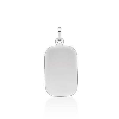 Picture of ~20x13 DOG TAG