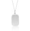 Picture of ~20x13 DOG TAG with chain