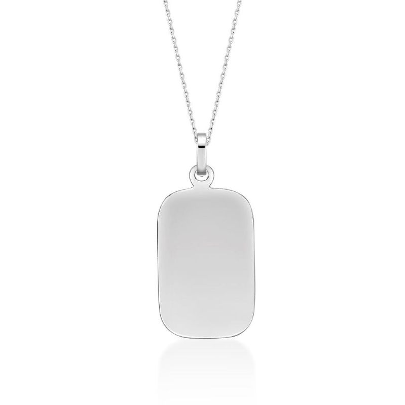Picture of ~20x13 DOG TAG with chain