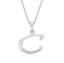 Picture of 'C' FOR CHARLIE with chain