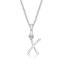 Picture of 'X' FOR X-RAY, MINI PEND. with CHAIN